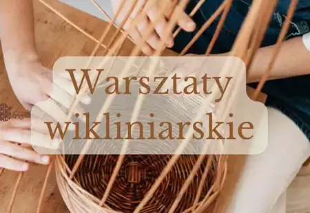 Osoby podczas plecenia koszyka z wilkiny